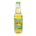 Tymbark Inel Menta&Lamaie 0.25L (12)