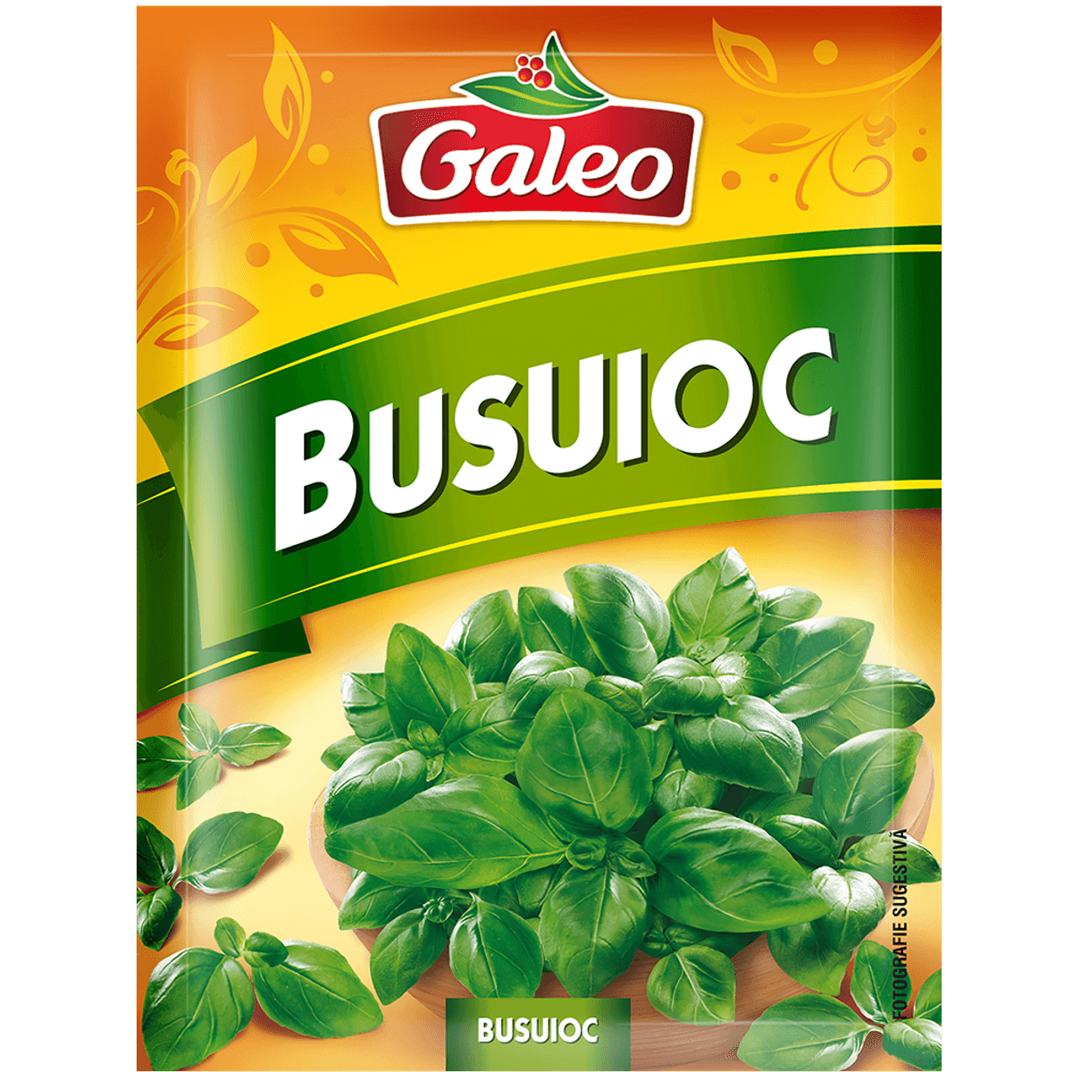 Galeo Busuioc 10G (20)