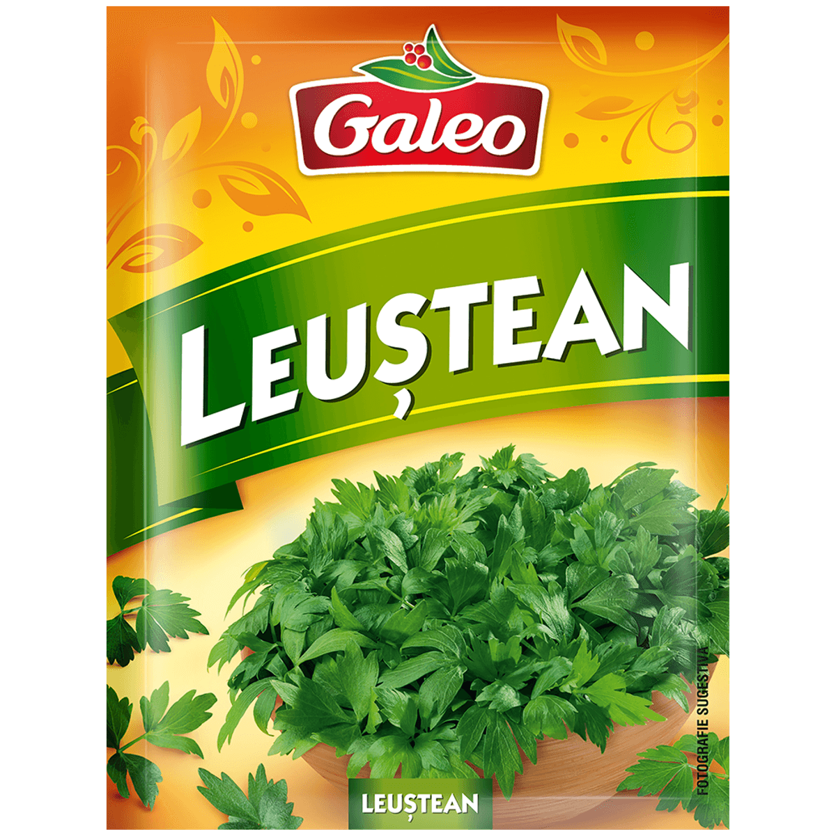 Galeo Leustean 7G (22)