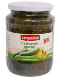 Cegusto Castraveti Murati 680G