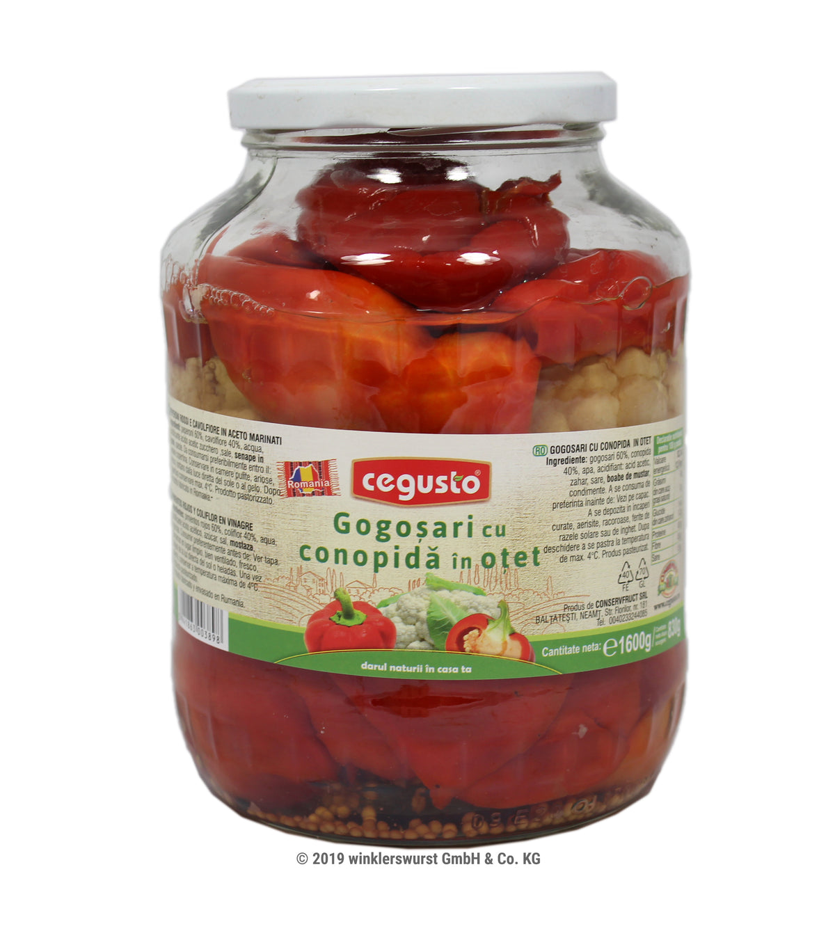Cegusto Gogosari In Otet 1600G