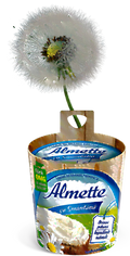 Hochland Almette Smantana 150G