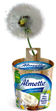 Hochland Almette Smantana 150G